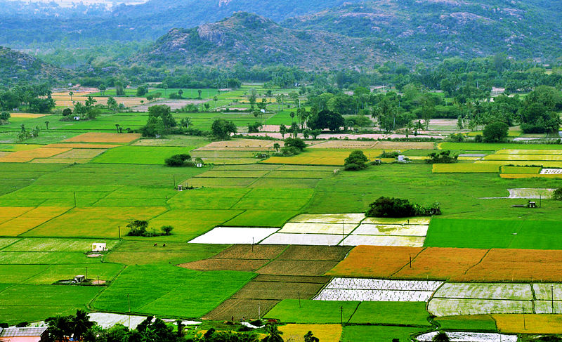 Farm Land Plots